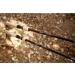 Ugly Stik Elite 7' Medium Spinning Fishing Rod - 2pc | Durable & Lightweight - Buy Online on GoSupps.com