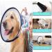 Cat Cone Dog Cone Adjustable Pet Recovery Collar for Kitten Puppy Rabbit Soft Cat Head Cones Lightweight Plastic Elizabethan Collars Comfy Cat Protective E-Collar Wound Healing Practical Neck M( Neck: 7.2-9.0 In) - Buy Online on GoSupps.com
