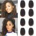 8 Pack Spring Twist Hair 8 Inch Ombre Bomb Twist Crochet Hair for Butterfly Locs Fluffy Spring Twist Braiding Hair Extensions 60g/pack (T1B/30) 8 Inch (Pack of 8) T1B/30