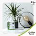 The Cheeky Panda Bamboo Facial Tissues - 56 Eco-Friendly, Hypoallergenic, Soft & Strong (3-Ply) - Buy Online on GoSupps.com