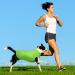 8-Piece Breathable Dog T-Shirt Set for Dogs and Cats - Summer Puppy Clothes Outfit (L) - Buy Online on GoSupps.com