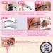 VEROA Magnetic Eyelashes With Applicator - Natural Look Cat Eyemagnetic Lashes Without Eyeliner - Reusable Magnetic Eyelashes Lightweight Waterproof Easy To Wear(Black) - Buy Online on GoSupps.com