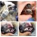 Symphonyw Stainless Steel Dog Calculus Remover - 2PCS Dental Teeth Cleaning Tools - Buy Online on GoSupps.com