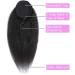 Hair Chignon Long Curly Shaggy Ponytail Hair Extensions Natural Black with Drawstring Hair Comb Ponytail Hair Bun for Black Women Messy Bun Hair Piece (Color : Black Size : 22 inch) - Buy Online on GoSupps.com