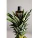 Michael Malul Citizen Jack Absolute Eau de Parfum - 100ml | 3.4oz 3.4 Fl Oz (Pack of 1) - Buy Online on GoSupps.com