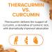 Natural Factors CurcuminRich Whole Body Curcumizer - 60 Softgels for Maximum Wellness - Buy Online on GoSupps.com