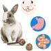 AKlamater 14Pcs Rabbit Chew Toys Natural Sticks for Rabbits Loofah Wood Grass Ball String for Rabbits Guinea Pig Hamsters Chinchilla - Buy Online on GoSupps.com
