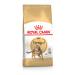Royal Canin Bengal Cat Food 10 kg