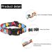 Suredoo Adjustable Dog Collar - Soft & Comfortable Nylon for Small Medium & Large Dogs | Color Block (L 38-63 cm Neck 2.5 cm Width) - Buy Online on GoSupps.com