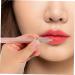 DRESSOOS Lip Makeup Brush Lip Applicator Lip Brush Lip Balm Applicator Lipstick Applicator Concealer Brush Lip Gloss Brush Women Makeup Tools Makeup Brush for Women Lip Gloss Applicator - Buy Online on GoSupps.com