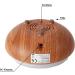 Shop Aroma Diffuser with 7 Color Lighting | Air Humidifier & Aromatherapy Lamp - 210ml Capacity Brown Design - Buy Online on GoSupps.com