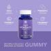 Sports Research Elderberry Gummies with Vitamin C, Zinc & Probiotics | USDA Organic, Vegan & Non-GMO (120 Gummies) - Buy Online on GoSupps.com