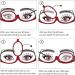 Foldable Makeup Reading Glasses for Women - +2.5 Red Presbyopia Visual Aid - Buy Online on GoSupps.com