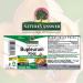 Natureâ€™s Answer Bupleurum Root - 1000mg Herbal Supplement for Liver Health & Immunity - Gluten & Alcohol-Free - Buy Online on GoSupps.com