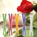 Incutex 40x Wax Ear Candles Ear Cones Candles with Various fragrances and Colours - Buy Online on GoSupps.com