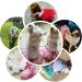 Luxury Dog Dress - Princess Tutu Skirt for Small Dogs | Evening & Wedding Outfit with Bowknot | Red Rock Lips Design - Buy Online on GoSupps.com
