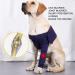 Dog Elbow Brace Dog Elbow Protector Highly Elastic Breathable Canine Protector Pads Knee Brace Dog Leg Braces Carpal Support Elbow Protector for Wound Wrapping (M) - Buy Online on GoSupps.com