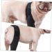 FOMIYES Comfy Brace Dog Acl Brace Hind Leg Dog Joint Dog Leg Braces for Foreleg Leg Sets Comfortable S As Shown - Buy Online on GoSupps.com