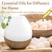 Premium Gingerbread Fragrance Oil 100ml - Essential Oil for Diffusers Candles Soap Making & Bath Bombs - Buy Online on GoSupps.com