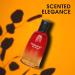 FIRENIGHT POUR HOMME Eau De Toilette Long Lasting Men Perfume 3.4Fl Oz Cologne For Men Daily Used Fire Night 3.4 Fl Oz (Pack of 2) - Buy Online on GoSupps.com