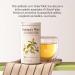 The Republic of Tea Emperors 100 White Tea - Zero Calorie, Sugar-Free, Carb-Free - 50 Tea Bag Tin - Buy Online on GoSupps.com