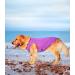 2 Pack Dog Shirts - Fast Drying Sleeveless Vests for Large Medium & Small Dogs - Breathable Pet Tank Tops (Purple + Gray Large) - Buy Online on GoSupps.com