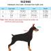 Pawaboo Dog Halter - Adjustable Reflective Nylon Training Harness for Small Dogs - Pet Safe Control - Purple Violet - Buy Online on GoSupps.com