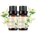 2-Pack Honeysuckle Essential Oil - 100% Pure Organic Natural Plant (Lonicera Japonica) Honeysuckle Oil for Diffuser Aroma Spa Massage Yoga Perfume 2x10ML Honeysuckle 0.17 Fl Oz (Pack of 2)