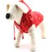Croci C7274478 Raindrop Cherry Raincoat for Dogs - 35 cm | Stylish & Waterproof Pet Apparel - Buy Online on GoSupps.com