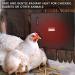 MQ 140W Chicken Coop Heater - Compact Heat Plate for Pets - Includes Thermometer Sticker - Ideal for Chicks, Cats, Dogs, Rabbits, and Under Desk Heating - Buy Online on GoSupps.com
