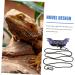 POPETPOP 1 Set Lizard Leash Blue Vest Amphibia Gecko Vest Harness Lizard Leash and Harness Reptile Harness Outdoor Reptiles Strap Outdoor Lizard Strap Animal Purple 17X7X0.1CM Purple - Buy Online on GoSupps.com