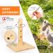 Nagergaleria Feeding Tree for Rabbits & Guinea Pigs | Outdoor Wooden Base & Ground Spike | International Shipping - Buy Online on GoSupps.com