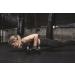 Power Gloves 2.0 - Black Large for Weightlifting, Training, Fitness & Gym Workouts - Buy Online on GoSupps.com