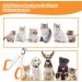 1Pcs Cat Claw Clipper Cat Nail Clippers with Safety Guard Trim Your Pets' Nails for Kittens Rabbits Hamsters Birds and Other Small Animals at Home and Pet Shop Non Slip Nail Care - Buy Online on GoSupps.com