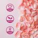 Purify and Refresh with pH-D Feminine Health Boric Acid Body Fresh Spray - Vegan, Paraben-Free, Plant Based, Rose Vanilla Scented - 3oz - Buy Online on GoSupps.com