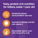 IAMS Perfect Portions Healthy Kitten Wet & Dry Cat Food Bundle Cat Food + Cat Food with Chicken Chicken - Kitten 75 g (Pack of 24) - Buy Online on GoSupps.com