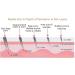 Derma Roller 1.5mm 540 Titanium Microneedle Roller for Face Facial Wrinkles Hair Loss Stretch Marks Hair Regrowth Micro Needles Professional Microneedling Derma Needling Kit with Case DERMA 1.5 MM - Buy Online on GoSupps.com