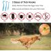 Izyfan Tick Hook Set - 3 Sizes for Quick Tick Removal | Safe for Dogs Cats Horses & Humans | Blue Zecke Note Set - Buy Online on GoSupps.com