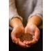 Golden Moon Organic Rooibos Tea - Caffeine-Free Herbal Tea in Travel Tin - Non-GMO - 30 Servings - Buy Online on GoSupps.com
