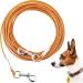 Dog leash for dogs 3.4 m 7.8 cm 15.2 m 15.2 m 30 m purchase festival robust dog tensioning cable for large dogs up to 113 kg durable dog leash for outside farm (orange 3 m) Orange/evening red in a zigzag pattern (Sunset Chevron) 120ibs 5ft