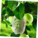 Yardenfun Vegetable Candied Fruits Vegetable Shaping Small Shaper Watermelon Cucumber - Buy Online on GoSupps.com