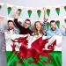 Shachi Great Wales Flag - Welsh Dragon 3ft x 2ft | Polyester Tissue with Brass s for FIFA World Cup Football Rugby & Sports - Buy Online on GoSupps.com