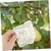 Mipcase 2pcs Square Apple Molds Fruit Vegetable Molds for Gardening Melon Stereotypes Plastic - Buy Online on GoSupps.com