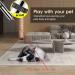 ANDICEQY Cat Laser Toy - 7 Adjustable Patterns for Indoor Pets - Long Range Training & Exercise - USB Rechargeable - Buy Online on GoSupps.com