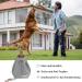 WOGOPRO Dog Treat Bag - Canvas Food Bag with Clip Buckle & Tension Rope for Training - Gray | Shop Internationally - Buy Online on GoSupps.com