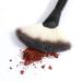 Buy Professional Fan Makeup Brush - Large Soft Dense Blush Brush for Perfect Highlighting | Best Face Makeup Tool Online - Buy Online on GoSupps.com