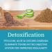 Morter HealthSystem Alka Cleanse - Herbal Alkaline Detox & Colon Cleanse Formula with Psyllium Husk, Probiotics, Enzymes & Herbs - Buy Online on GoSupps.com