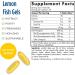 Nordic Naturals Omega-3 Lemon 1000 mg - 60 Soft Gels | Premium Fish Oil - Buy Online on GoSupps.com