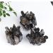 Crystal Rough Natural Point Smoky Quartz Stone Crystal Cluster Gemstones Specimen Home Decoration Decoration Gift (Size : 500-700g) - Buy Online on GoSupps.com