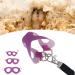 Shop Asixxsix Purple Dishwear & Leash Set for Hamsters Guinea Pigs & Ferrets - 3 Sizes Synthetic Leather Crockery & Nylon Line - Buy Online on GoSupps.com